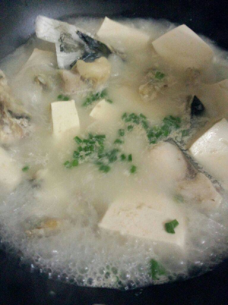 鱼头豆腐汤,煮至汤变奶白色在加入盐和葱花煮滚
