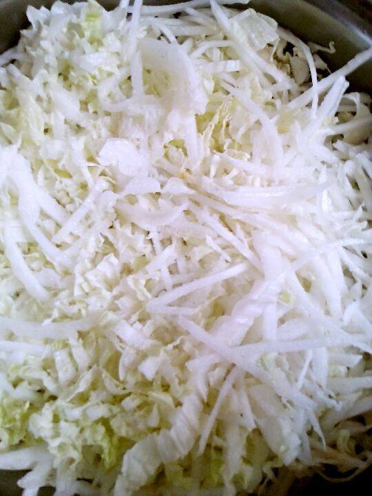 自制腌酸菜,白菜丝放入盆中，撒上一层盐，在加上菜，再加盐，