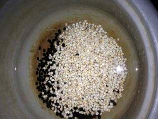 薏米绿豆糖水,薏米和黑豆放锅里煮30分钟