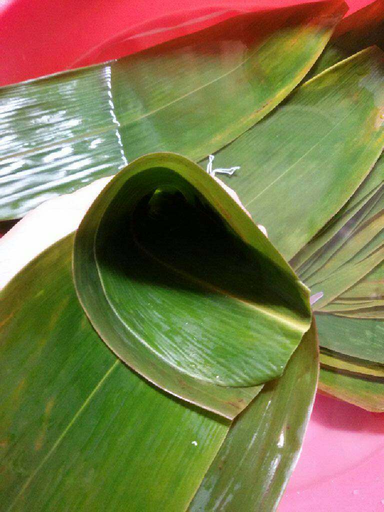 蜜枣什锦粽子,取2张粽叶并一起，折成漏斗形状。