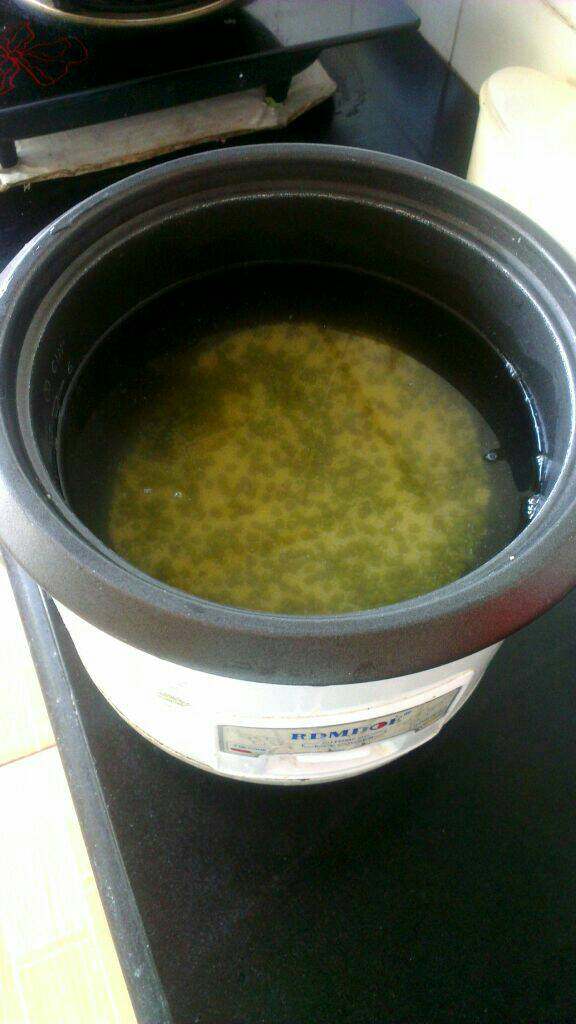 绿豆小米粥,加适量水插上电源，按煮饭键煮40分钟至绿豆开花儿；