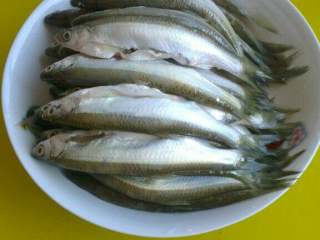 香煎青林子鱼,将子鱼治净，葱切段儿，姜切片儿备好；