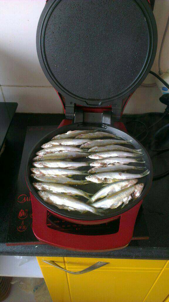 香煎青林子鱼,电饼档烧热，表面刷一层食用油；依次摆入腌好的子鱼盖盖儿！