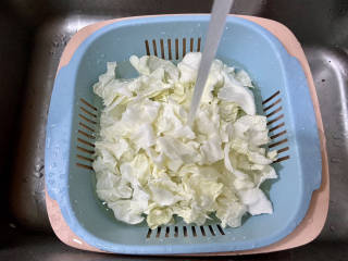干煸圆白菜,圆白菜对半切开，切去根部，包菜叶用手撕片，只要菜叶，不要菜梗，这样才能保证叶片脆嫩炒的时候熟度一致。菜叶用淡盐水浸泡5分钟