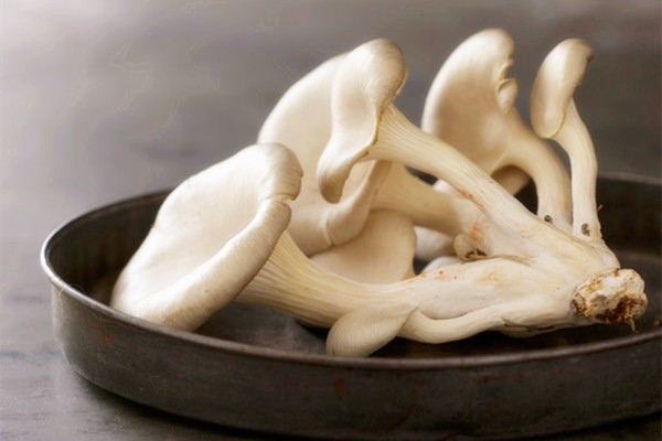 蘑菇炒肉片,蘑菇炒肉，可以选择的蘑菇挺多的，这个是小平菇，还有大朵的的平菇，大朵的平菇一般会把它撕成条。