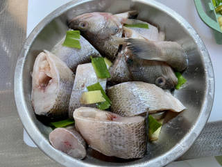 鲈鱼炖豆腐➕川味鲈鱼炖豆花,鲈鱼加上几片姜，少许葱段，一汤匙料酒，半茶匙食盐，少许白胡椒粉，抓拌均匀，腌制10分钟