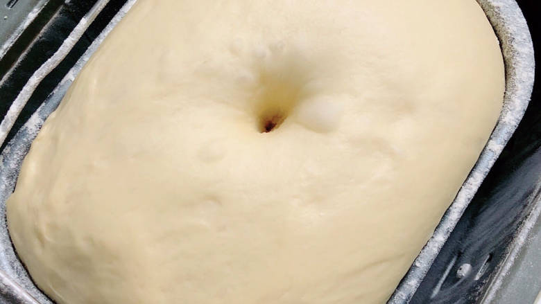 淡奶油小餐包,揉好的面团进行基础发酵。直到面团变成2.5倍大。