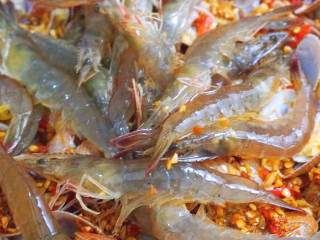 鲜虾花甲粉丝煲,最后可加入基围虾、加入少许清水开煮10-15分钟