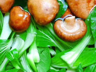 香菇炒上海青,香菇、上海青冲洗干净
