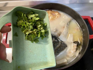 鱼头炖汤➕鱼头豆腐汤,出锅前撒香菜末即可上桌享用。