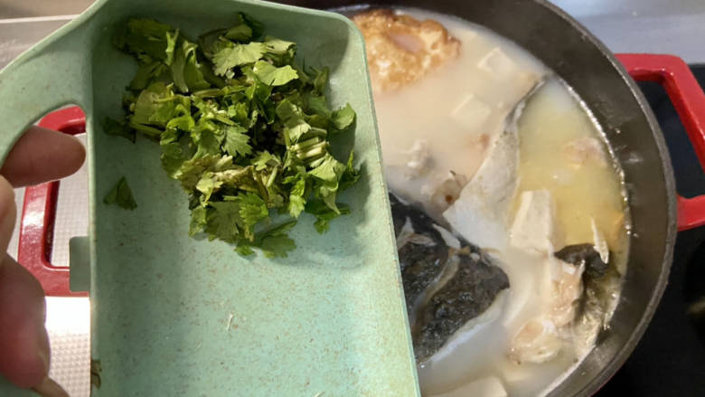 鱼头炖汤➕鱼头豆腐汤,出锅前撒香菜末即可上桌享用。