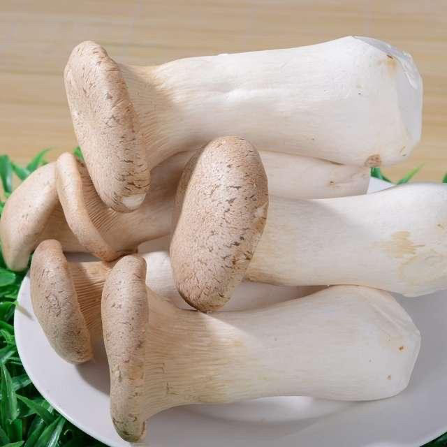 蘑菇炒肉片,这是杏鲍菇，同样炒的时候一般都会撕开。