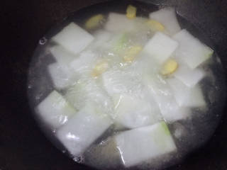 冬瓜瘦肉汤,加入适量水，煮至水开