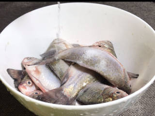 家常鲫鱼,将鱼清洗干净，沥干水分，加盐和料酒拌匀，腌制一天一夜